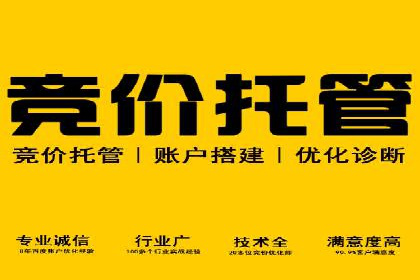 成功案例分享：SEM竞价托管助力企业实现业绩突破